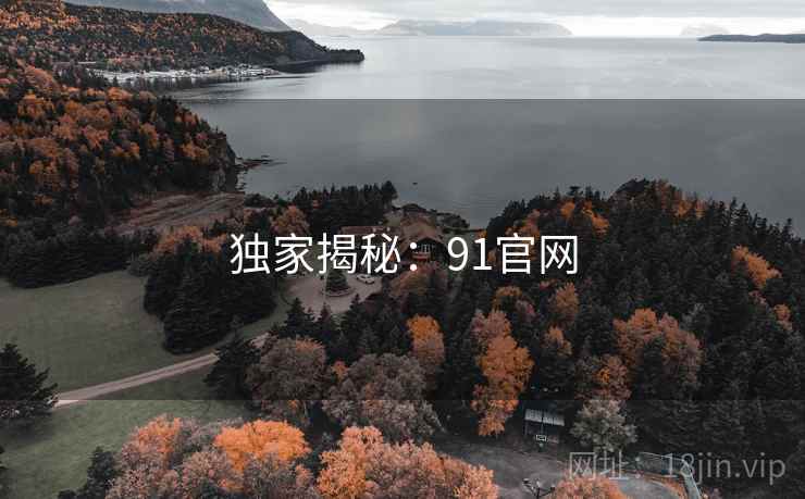 独家揭秘:91官网 独家揭秘:91官网